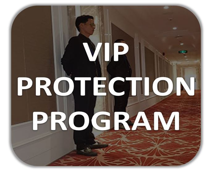 vip-protect-icon
